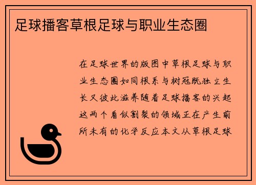 足球播客草根足球与职业生态圈